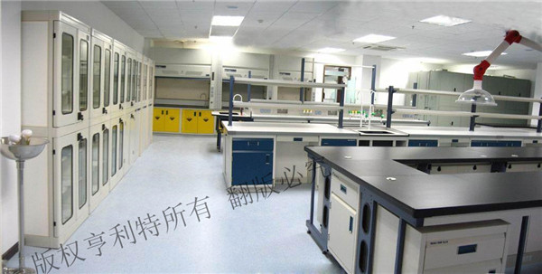 麻豆免费视频网站實驗台